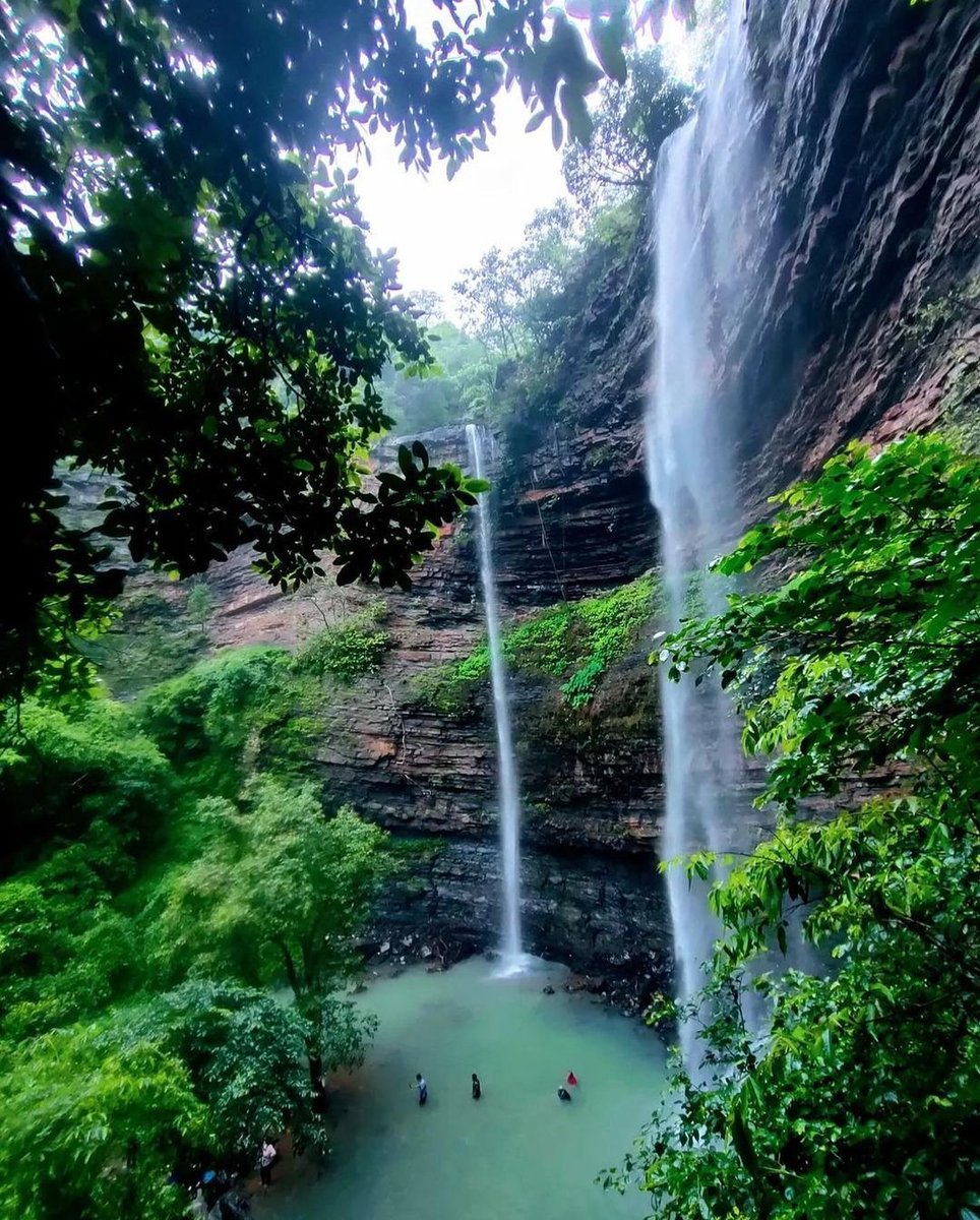 PureOdisha's tweet image. 📍Bada Aap falls, Bargarh, needs 4kms trekking in the dense jungle of Debrigarh Wildlife Sanctuary, Bargarh.
#debrigarh #bargarh #badaaap #badaaapkhol #waterfallsofodisha #unseenodisha #unexplored #incredibleindia #incredibleodisha
#odisha #odishatourism