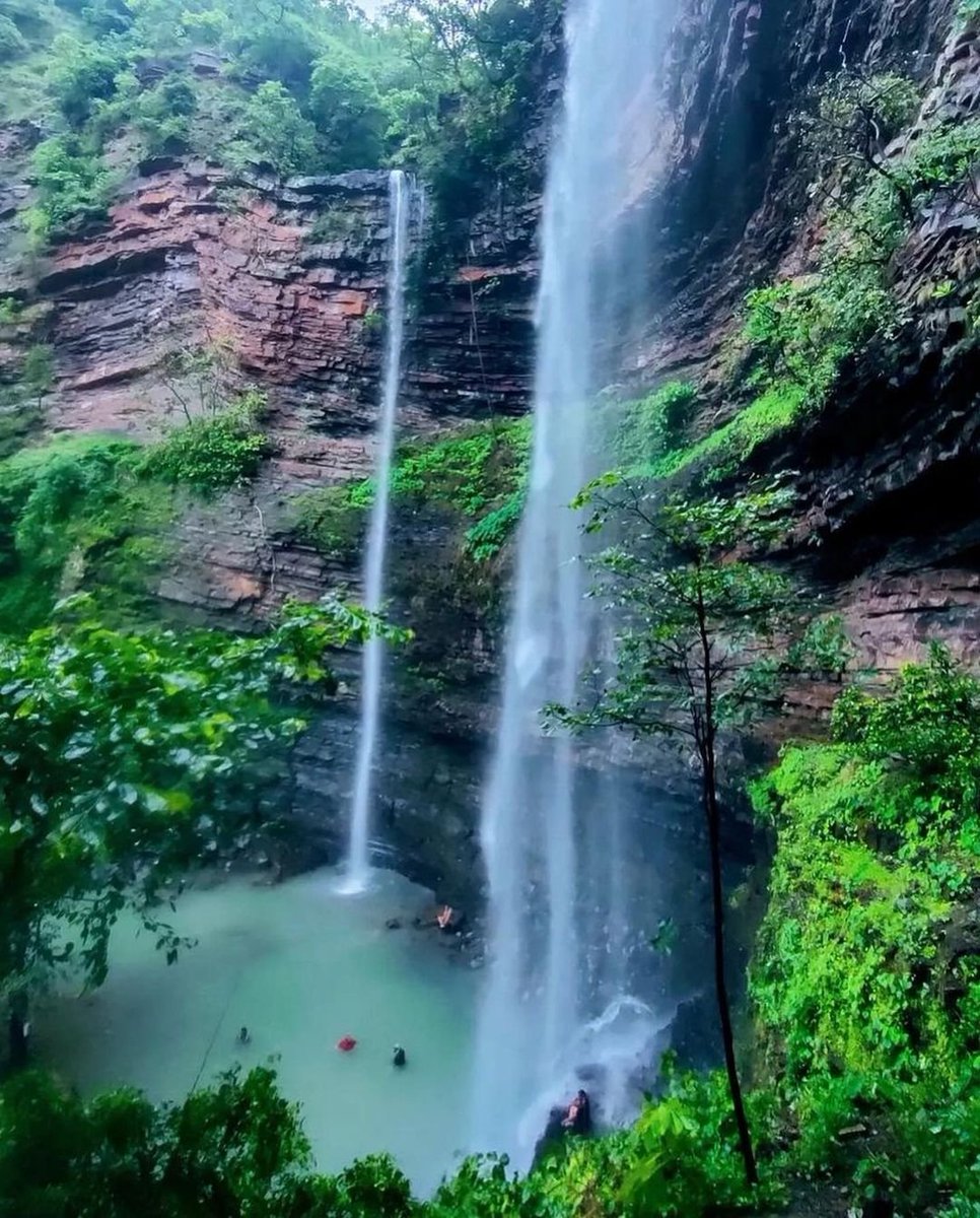 PureOdisha's tweet image. 📍Bada Aap falls, Bargarh, needs 4kms trekking in the dense jungle of Debrigarh Wildlife Sanctuary, Bargarh.
#debrigarh #bargarh #badaaap #badaaapkhol #waterfallsofodisha #unseenodisha #unexplored #incredibleindia #incredibleodisha
#odisha #odishatourism