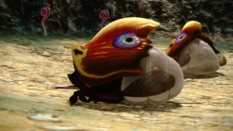 Creature of the Day! tweet media