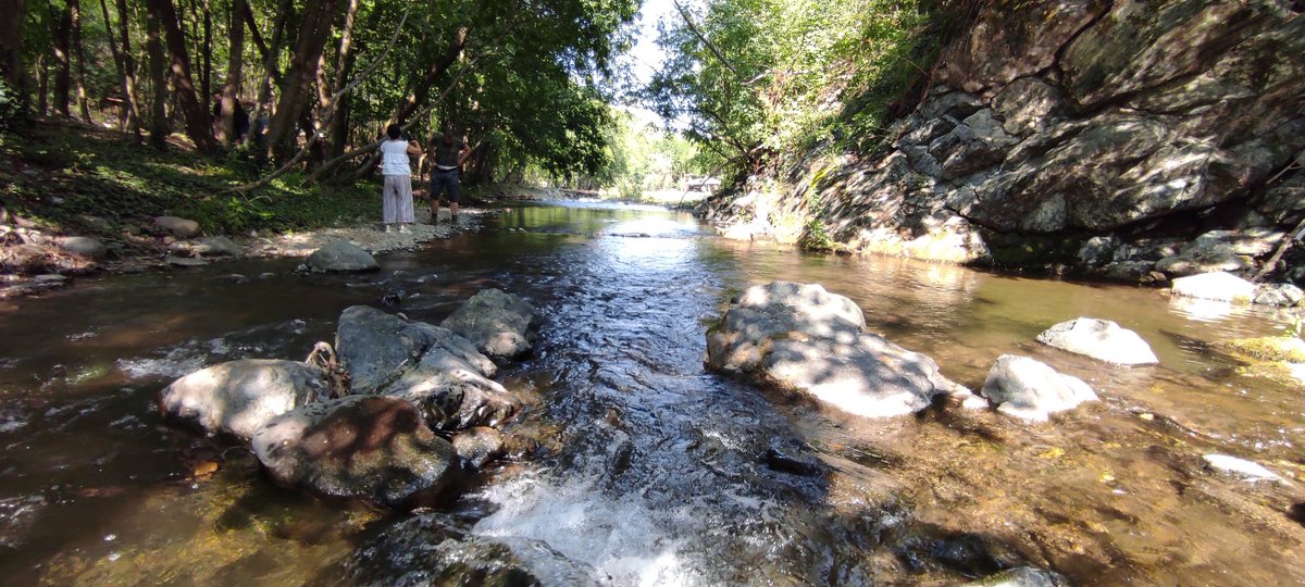 savski_nasip's tweet image. Прелепо је у Лопатници, природа је бајковита а људи који су нас угостили изузетни су домаћини.
ЕКО САБОР ЛОПАТНИЦА♥️🇷🇸

Хвала свима који су дошли да подрже борбу за природу Србије, било је пуно еколошких удружења из свих делова Србије 💪🇷🇸