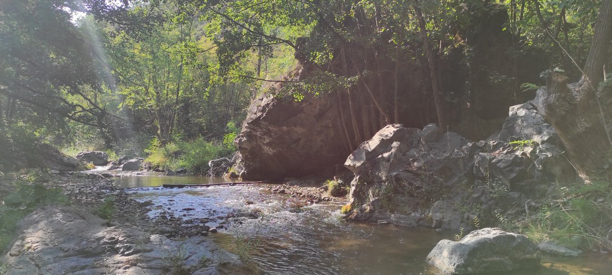 savski_nasip's tweet image. Прелепо је у Лопатници, природа је бајковита а људи који су нас угостили изузетни су домаћини.
ЕКО САБОР ЛОПАТНИЦА♥️🇷🇸

Хвала свима који су дошли да подрже борбу за природу Србије, било је пуно еколошких удружења из свих делова Србије 💪🇷🇸