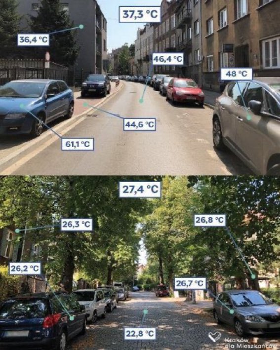 createstreets's tweet photo. The cooling effect. ❤️ street 🌳 s
It’s great that (thanks to @RobertJenrick & #BBBBC co-chaired by @boys_nicholas ) new street trees now required in all new streets but far (far) more needed to #GreenUp existing streets. Watch out for our major report on this coming soonish… https://t.co/vYNWChRsRo