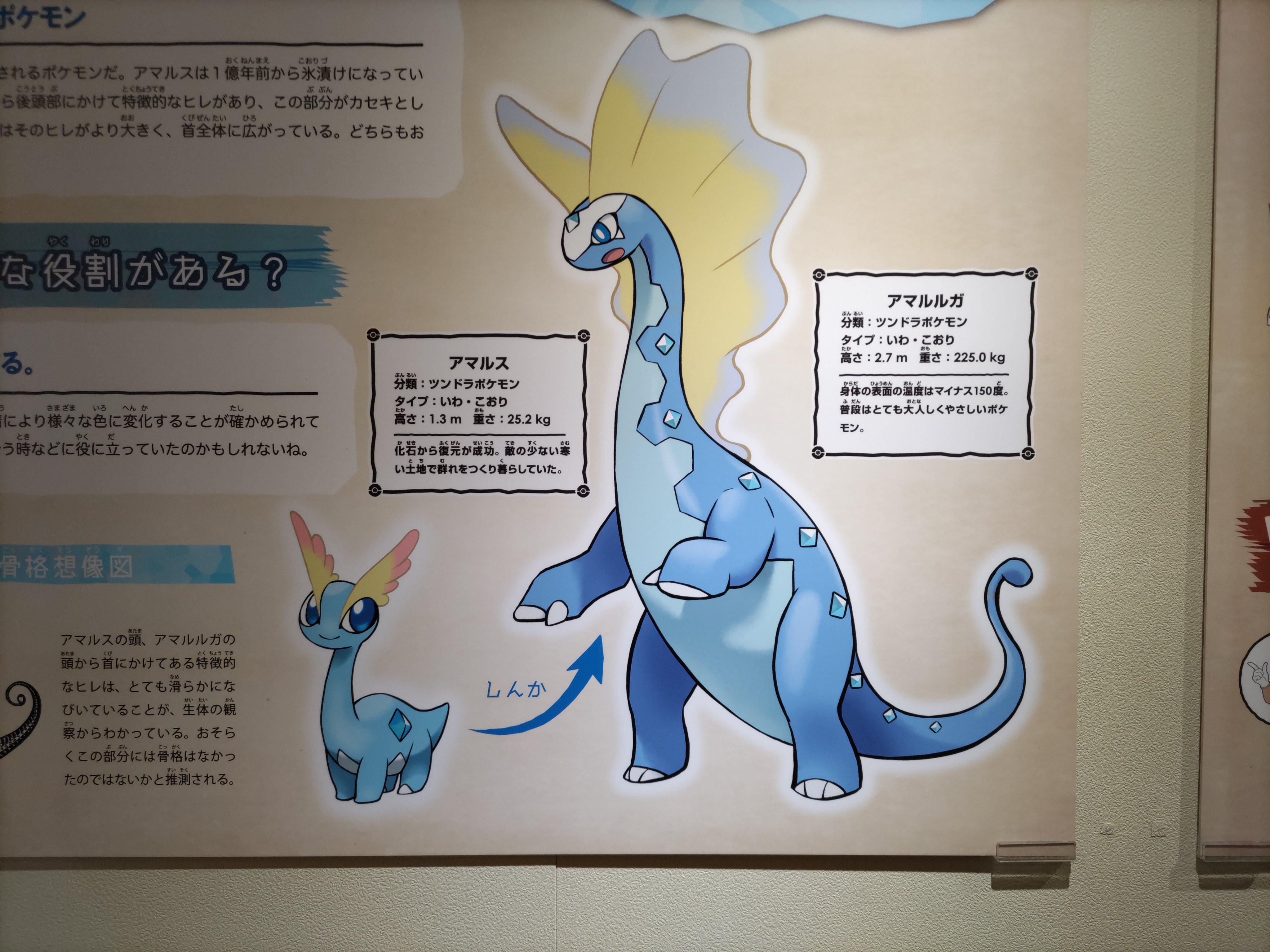 ヤマモト生物模型 アマルスとアマルルガ ポケモン とアマルガサウルス 古生物 G Masukawa氏によるポケモンの骨格想像図が出色の出来 ポケモン化石博物館 T Co Ew5mxnfp55 Twitter