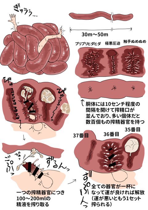搾精器官がズラッと並んだ恐ろしい搾精生物。あんまり射精しすぎると途中で成長して相性の良い器官を生成してくるぞ。 