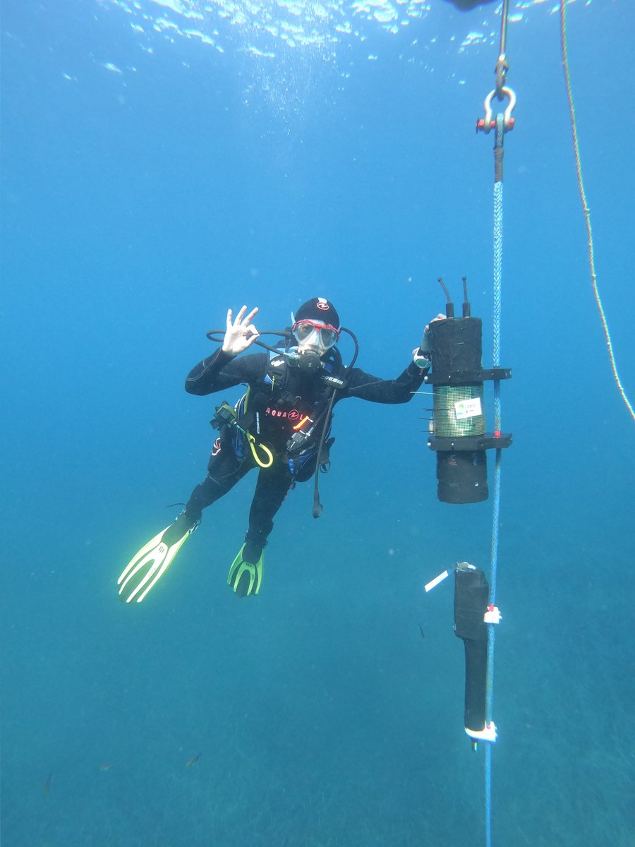 WATER_IOS_CSIC's tweet photo. Tenemos nueva publicación en  @WATER_IOS_CSIC ‼️
Desvelando las tendencias costeras del pH en el mar Balear 🌊con datos procedentes de sensores autónomos y aplicando técnicas de machine learning💻 Un gran trabajo científico y operacional👏 https://t.co/ITou21xIek