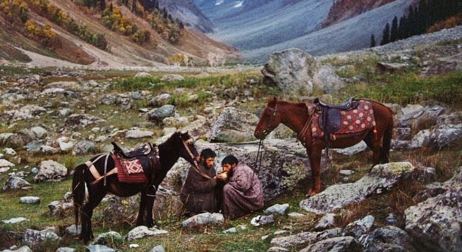 "إنني ما ذهبتُ بعيدًا، ولا طلبتُ مستحيلًا. فكلُّ ما أطمع فيه من جمال هذا العالم وزخرفه رفيقٌ آنسُ بقربه وجواره، وأجدُ لذة العيش في الكون معه، والسكون إليه " المنفلوطي

#جماليات 
#صباح_الخير