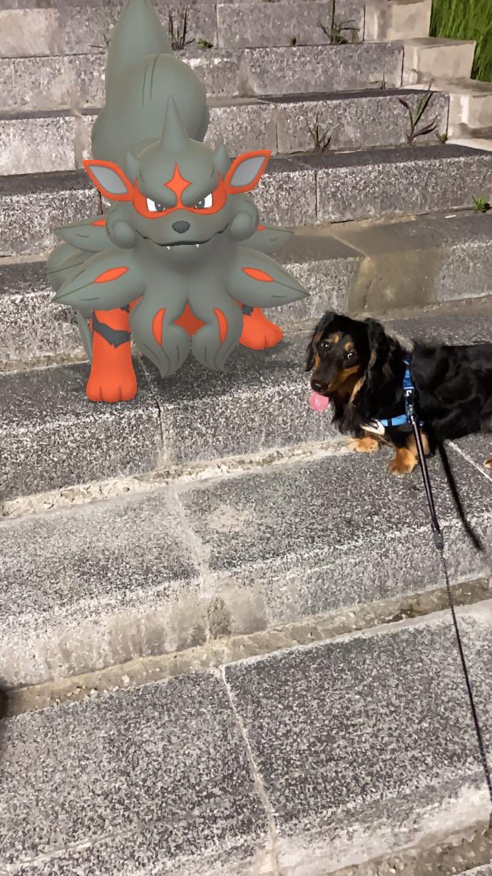 ヒスイウインディ Twitter Search Twitter