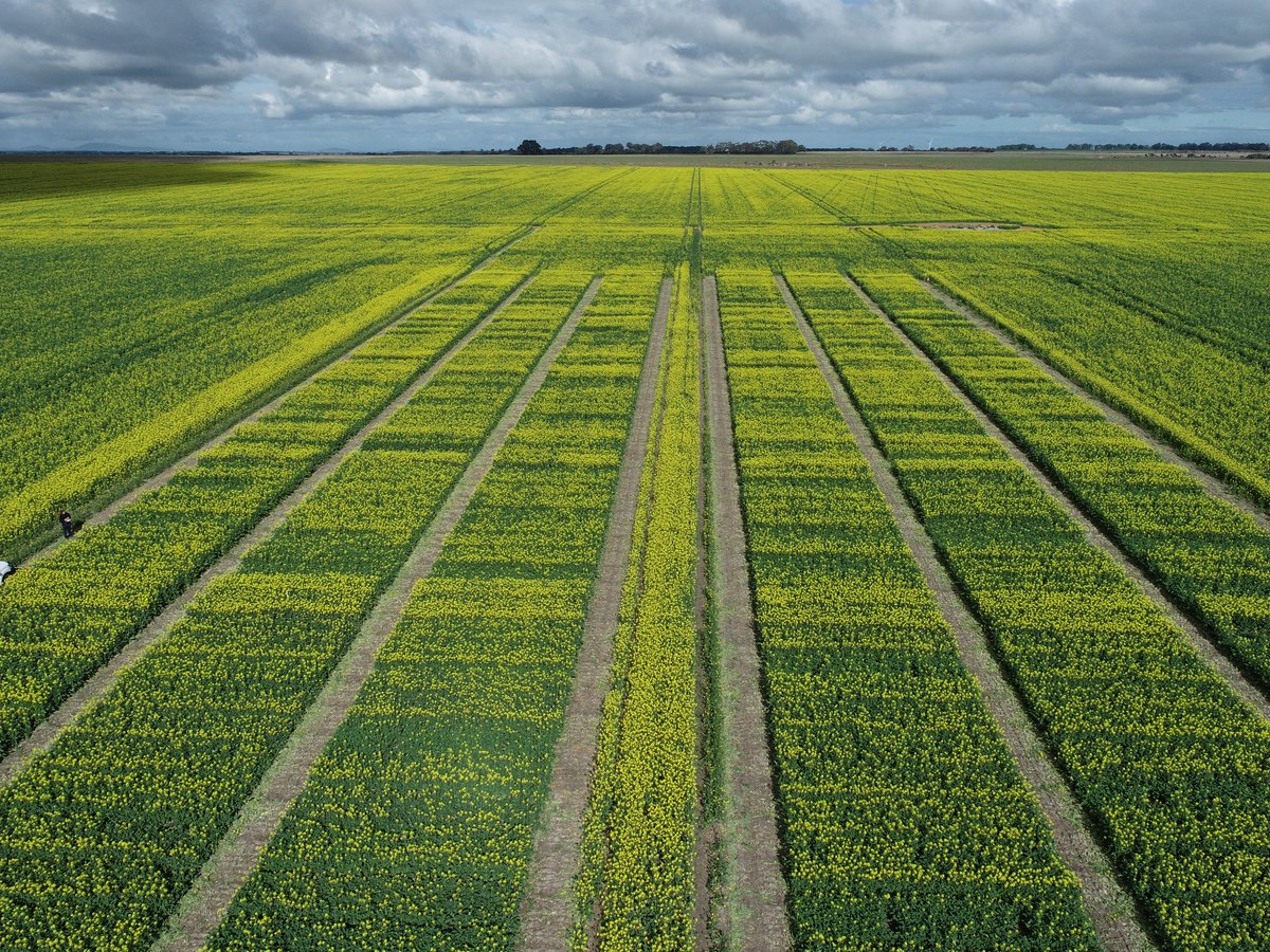 Jeremy Curry tweet media