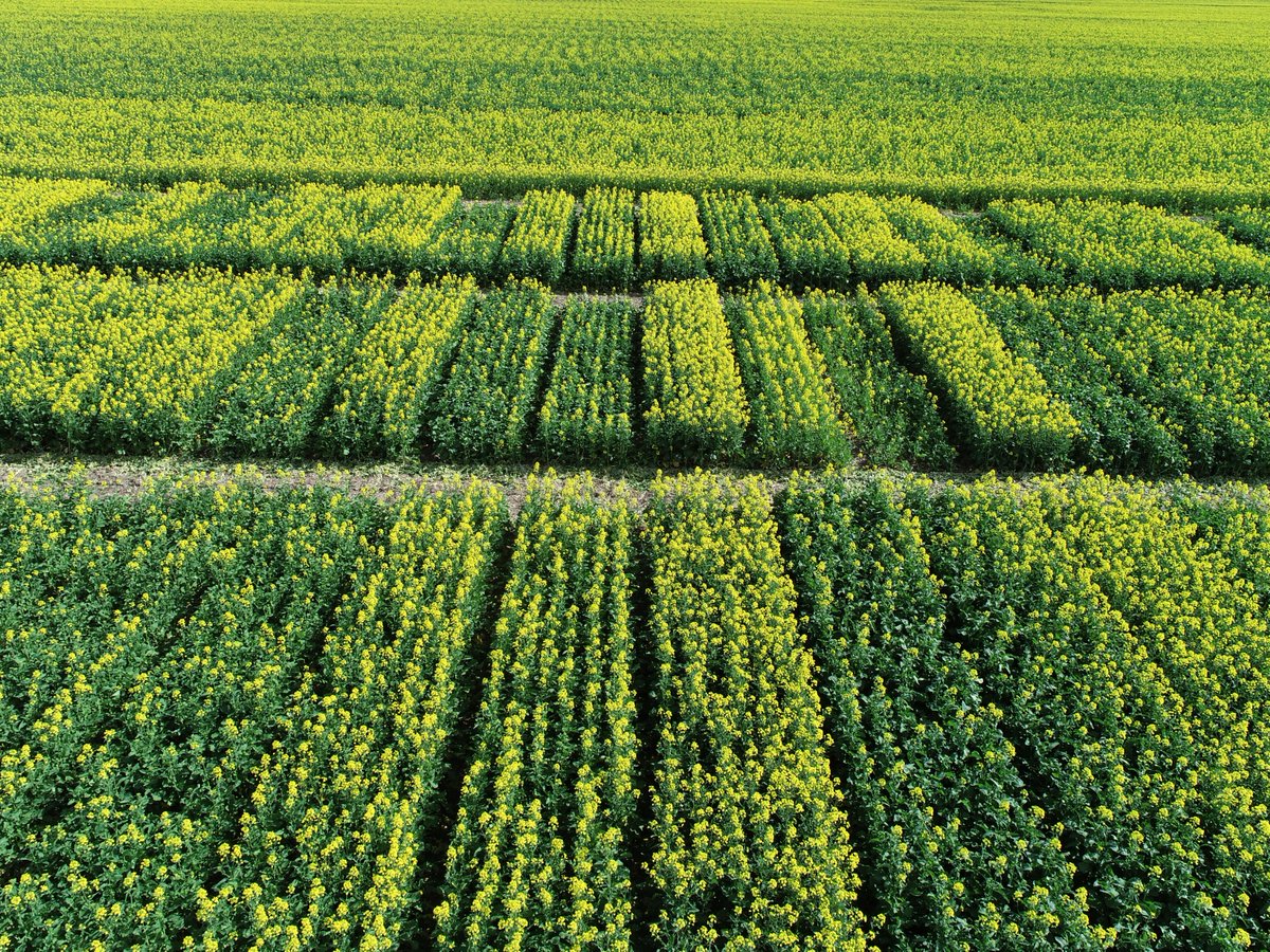 Jeremy Curry tweet media