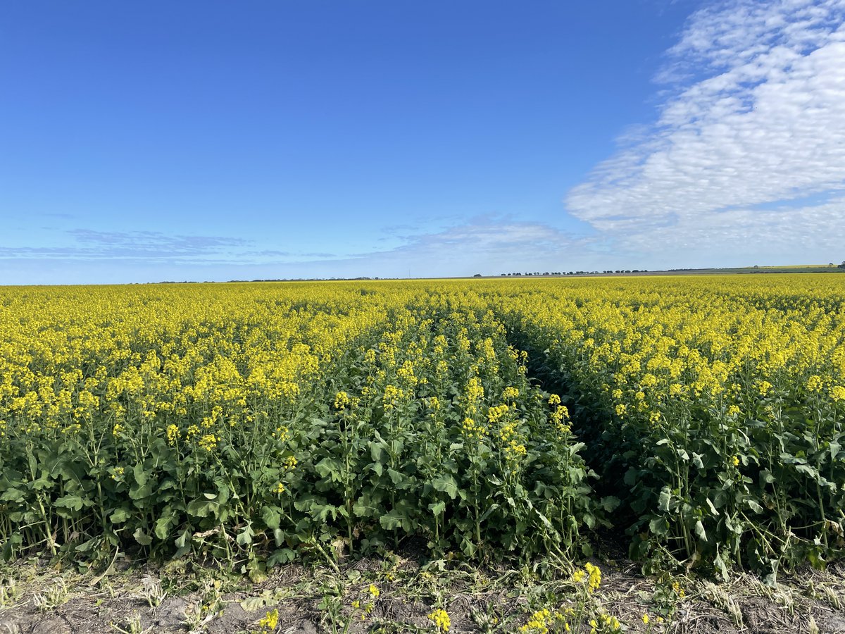 Jeremy Curry tweet media