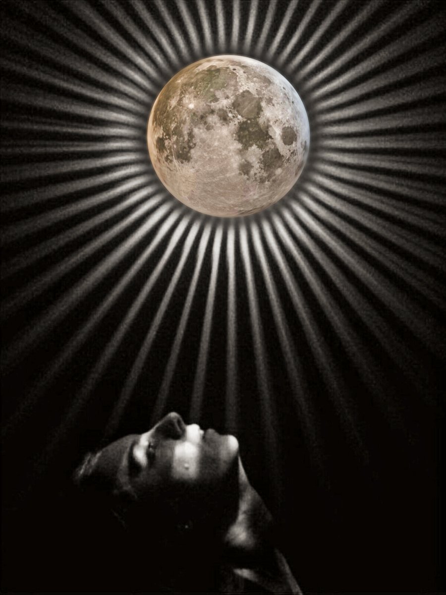 ‘ Moon Girl ’ now live on <a href="/opensea/">OpenSea</a>

@Crisstianaaf  X  <a href="/ladynoirenft/">noire</a>

🖤 only 37 editions
🤍 0.018 ETH

Link below ⤵️

#NFTdrop #NFT #NFTCommunity #NFTdrops #OpenSeaNFT