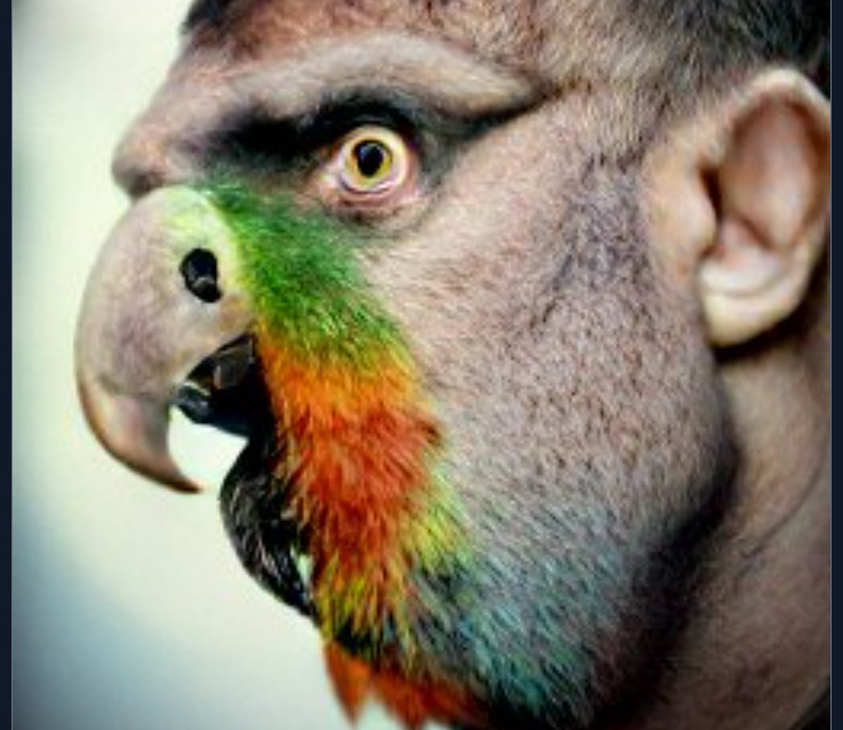 jokerfan79's tweet photo. Parrot TFs.
Huh?- squawk! squawk Rwaark!.
#Dallemini #DogTFFan #TFTuesday #TFeveryday #birdtf #ai #macaw https://t.co/ev59K6t5Sf