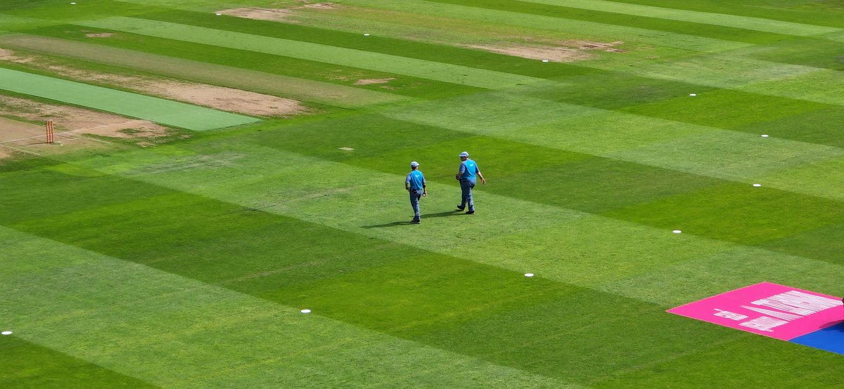 Time for cricket!! These two looking very smart out there 👌