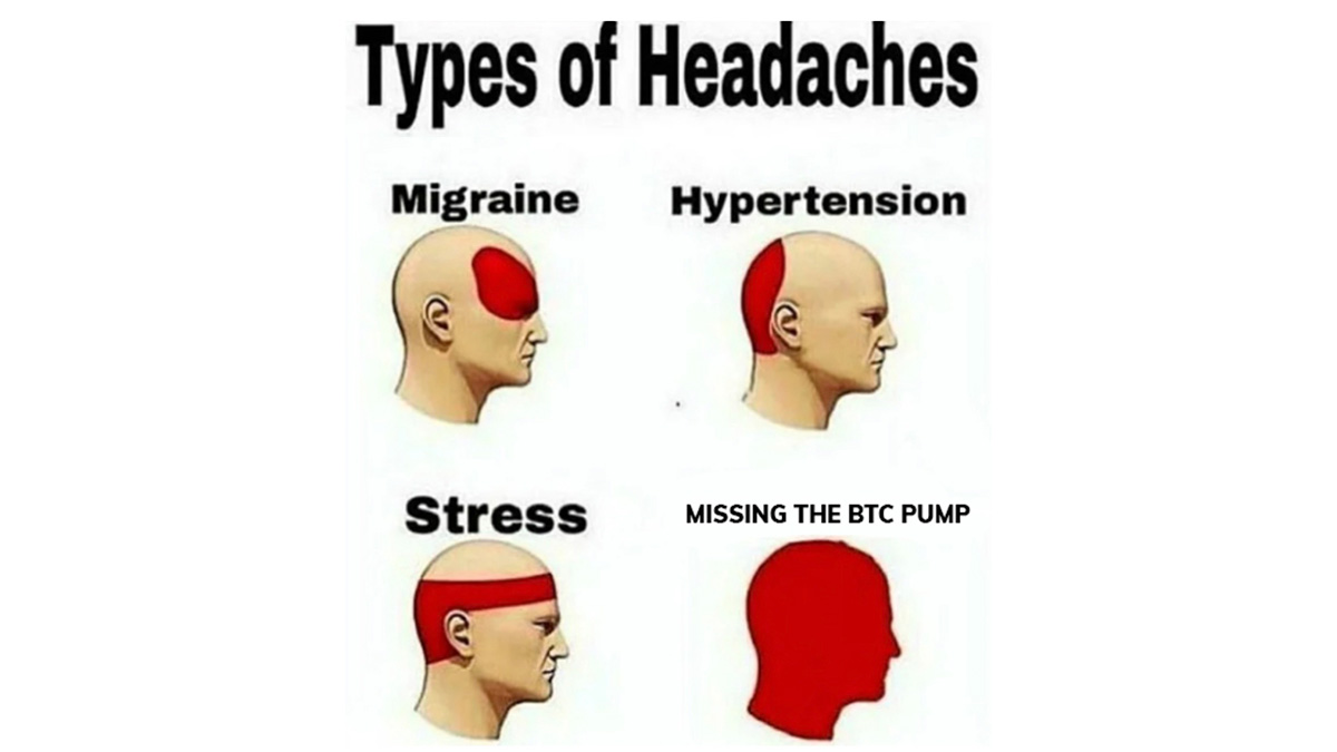 StackerSatoshi's tweet photo. The market giveth... 
A headache. 😅

Did you miss it? Don't lie. https://t.co/E0TZsPDIT4