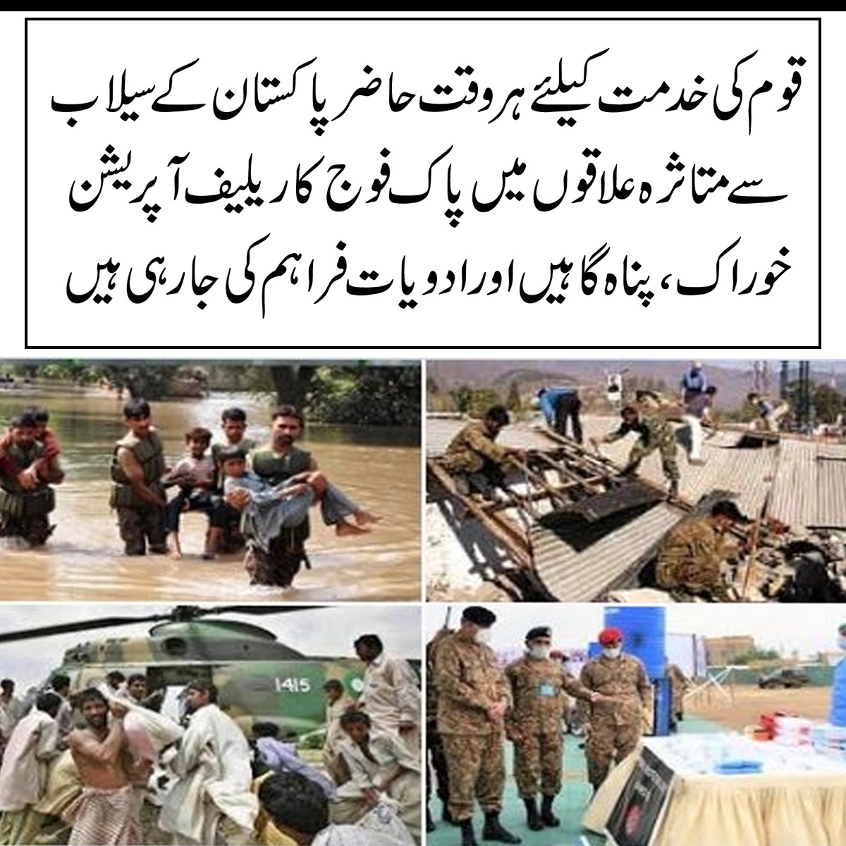 Zunaira tweet media