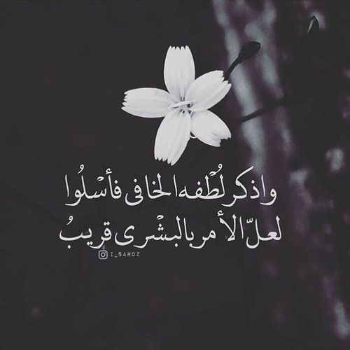 AH69120663's tweet photo. #أُم_الوطن_خريجي_الصيدله_طالبينك https://t.co/W7T1TLzRNZ