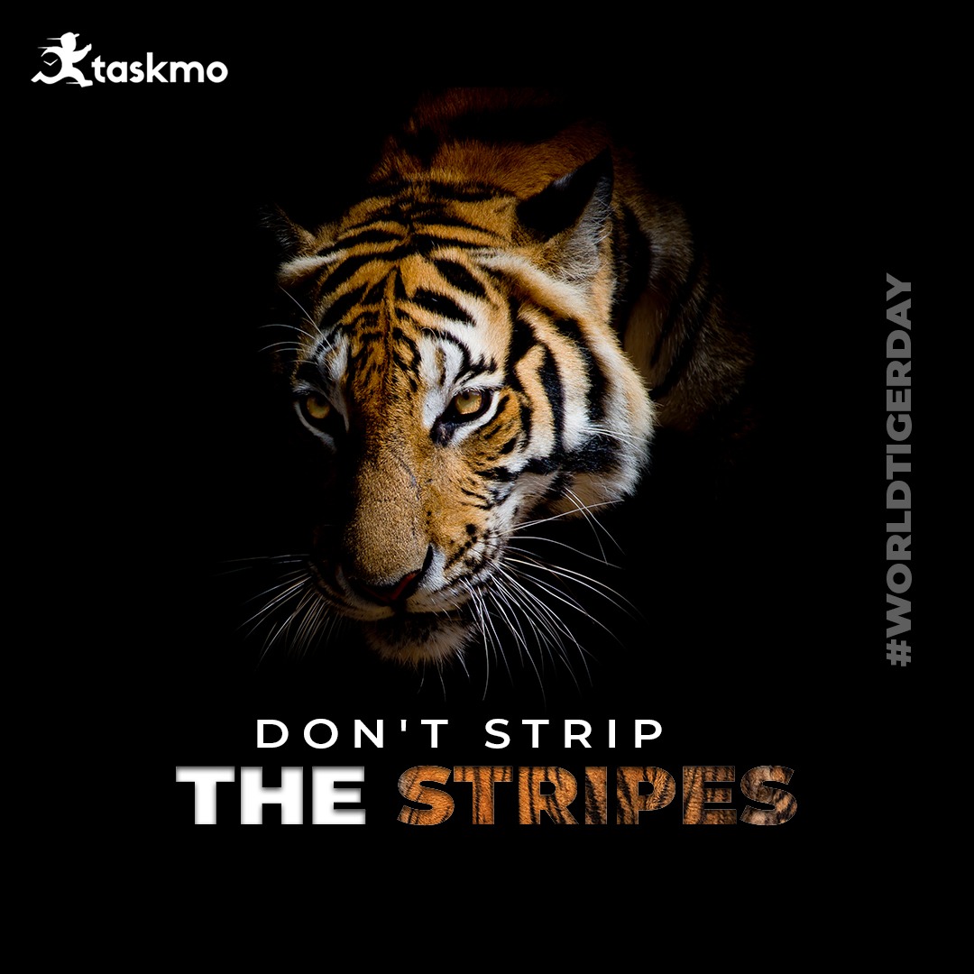 Taskmo_official's tweet photo. Feline family roars, yet, it rules in the hearts of Globe.
Save the Tiger because it represents beauty, bravery, strength, and nationalism. Protect the National Pride.
Save Tiger and Save their habitat!
#TigerDay2022 #InternationalTigerDay2022 #nationalanimalindia #taskmo https://t.co/Nvhm8aym42