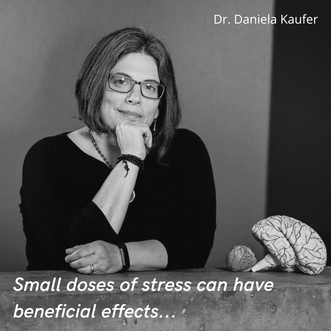 PhDCareerPod's tweet photo. No doubt: Chronic stress is detrimental to our health!
However, did you consider that small doses of stress can have some beneficial effects and can act as a brain booster? Refer to the article from Greater Good Magazine in the comments! Stay healthy! #phdcs #phdlife #stress https://t.co/ULDfhVsCGM