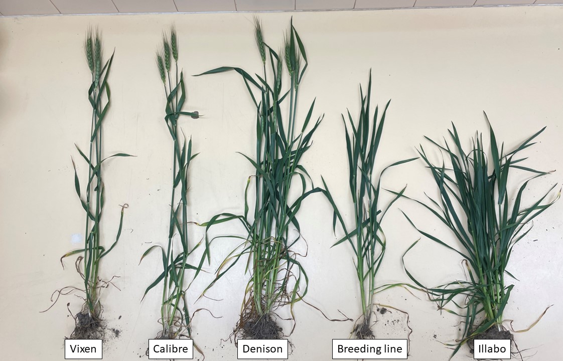 Jeremy Curry tweet media