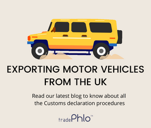 tradePhlo tweet media