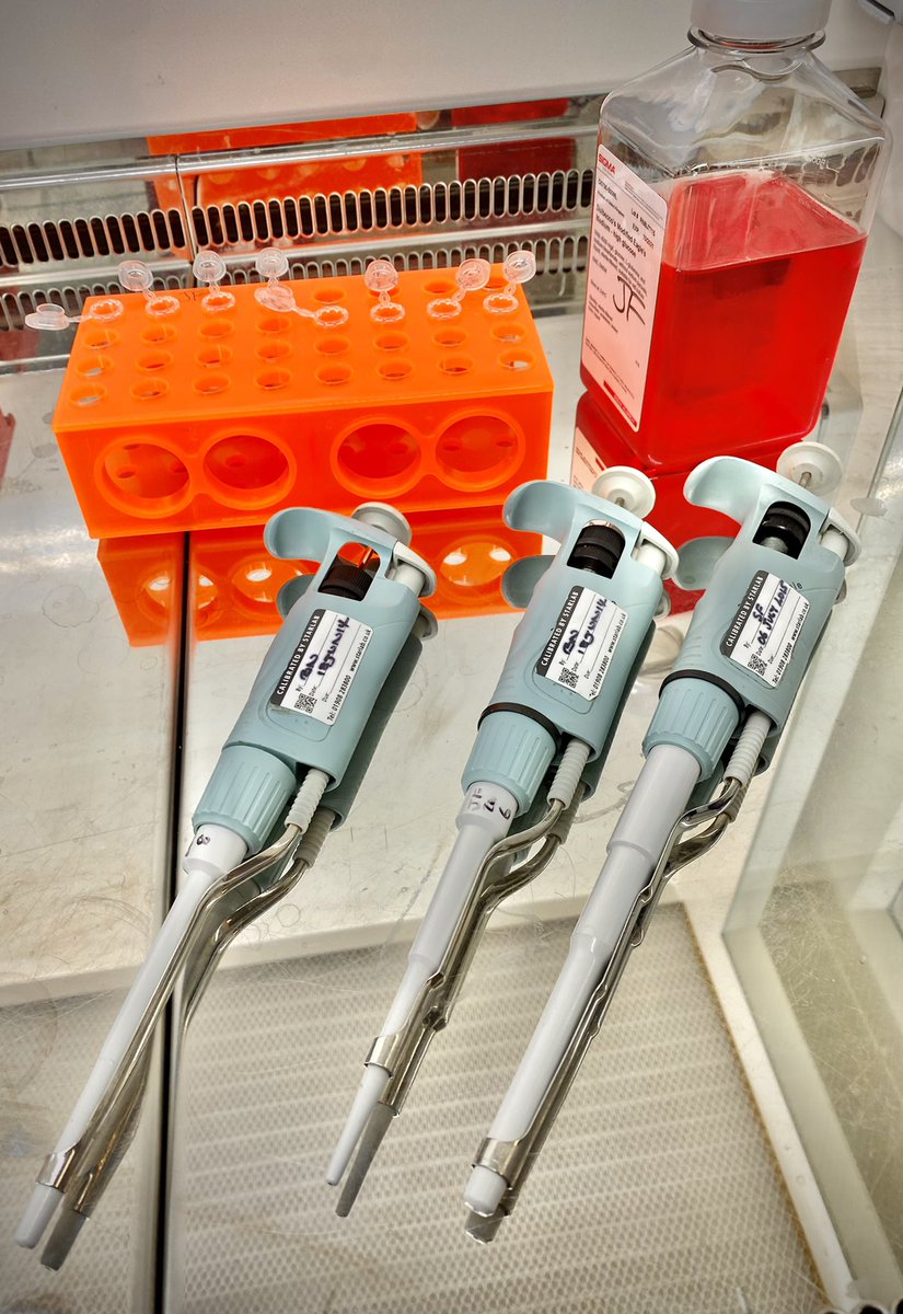 In #BiologicalResearch accuracy is so important. But our #scientific equipment is only as good as the #scientist using it. Our #MSc in #stemCellBiology will teach crucial #laboratory skills early on in the course to maximise your future in science. birmingham.ac.uk/postgraduate/c…