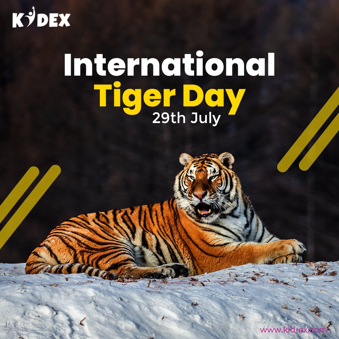 KidEx on Twitter: KidEx on Twitter: