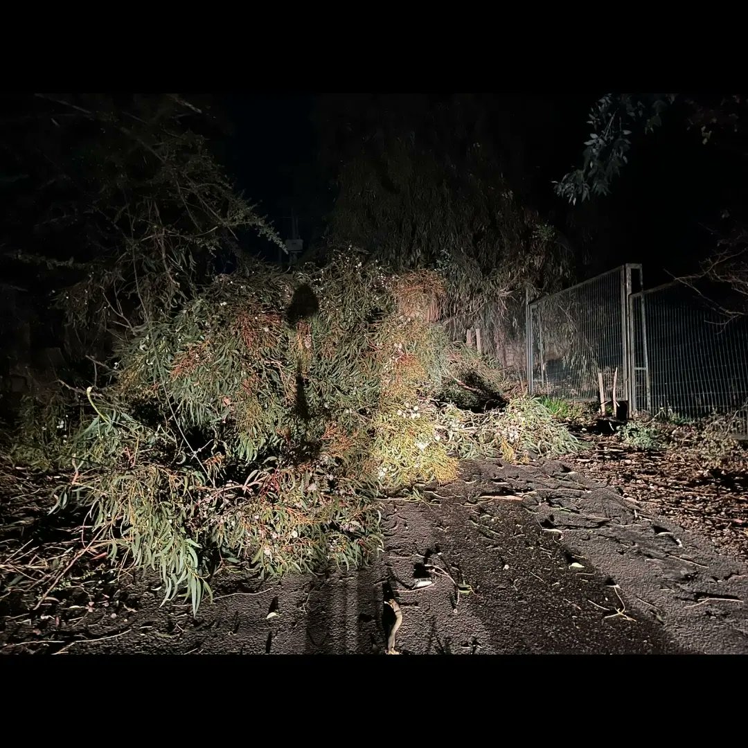 CeciDooner's tweet photo. Por caída de árbol en sector Carpay en La Reina, estamos con corte de luz desde anoche. @EnelClientesCL aun no repone servicio y @MuniLaReina ausente. #cortedeenergía https://t.co/zuizL0LCmq
