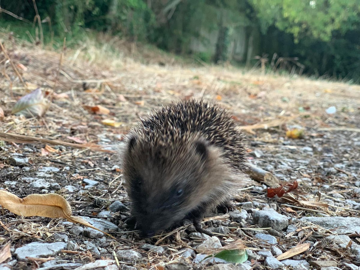 fridaymusicfun tweet media