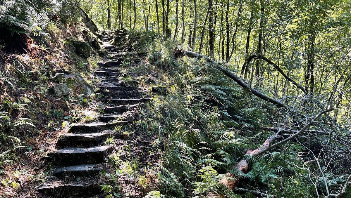 Bettina_Mattia's tweet photo. In #Tessiner_Wälder laufen zum #Bergseen entdecken ist einfach herrlich.
#Frasco #AlpedEfra #LagodEfra https://t.co/CQL3hARKAF