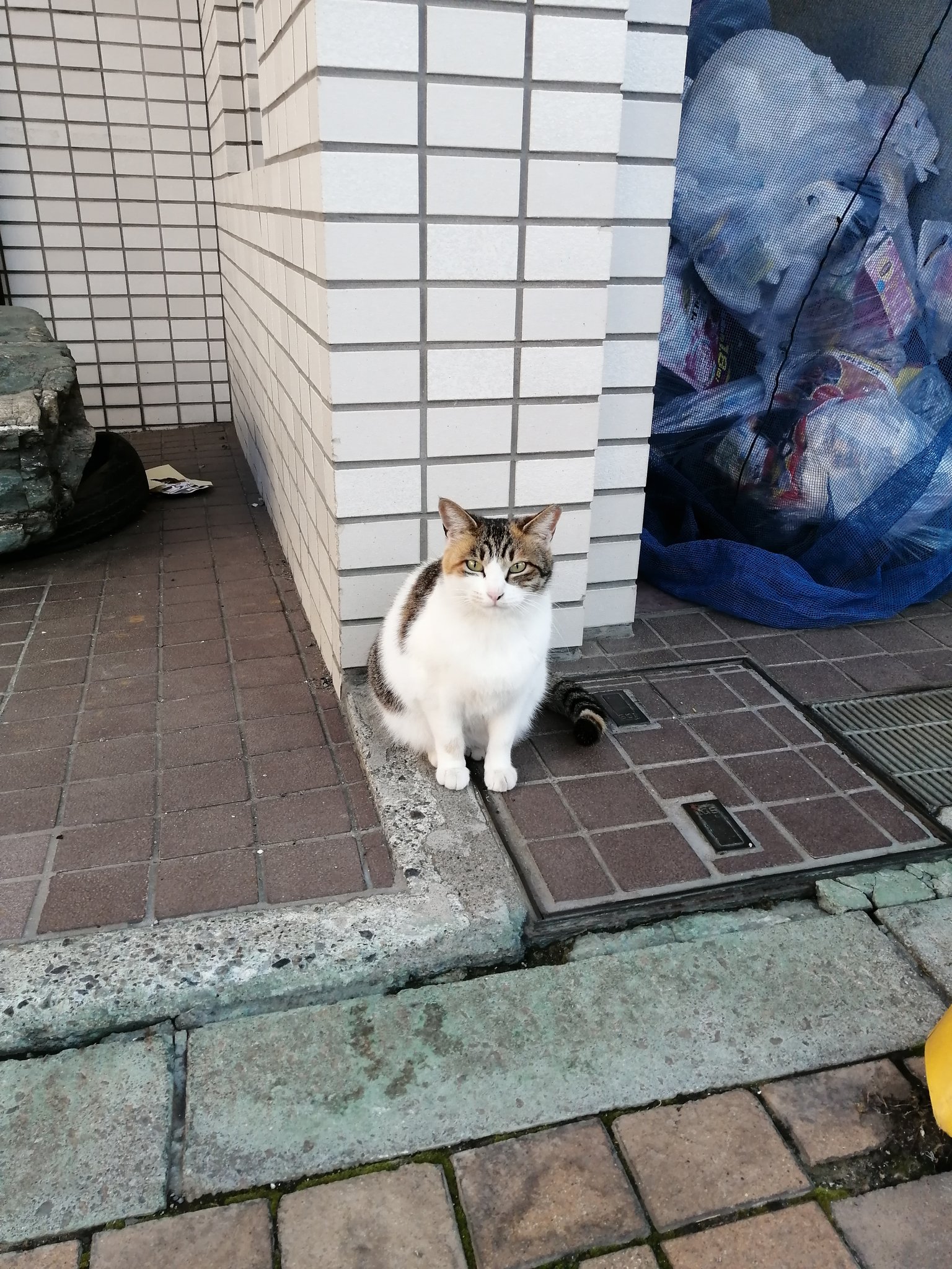 新宿 居酒屋 アルバイト募集 211sasaki Twitter
