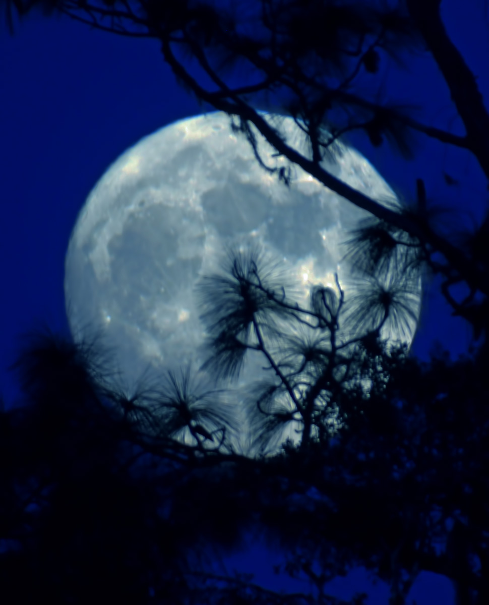 Blue Moon October 31, 2020, is a rare and unusual phenomenon. It is the second Full Moon of the month or the thirteenth Full Moon of the year. Secondly, the Blue Moon this year coincides with the international holiday – Halloween. #fullmoon  #halloween   https://t.co/PiZoJTmivv https://t.co/Bu9XISngfE