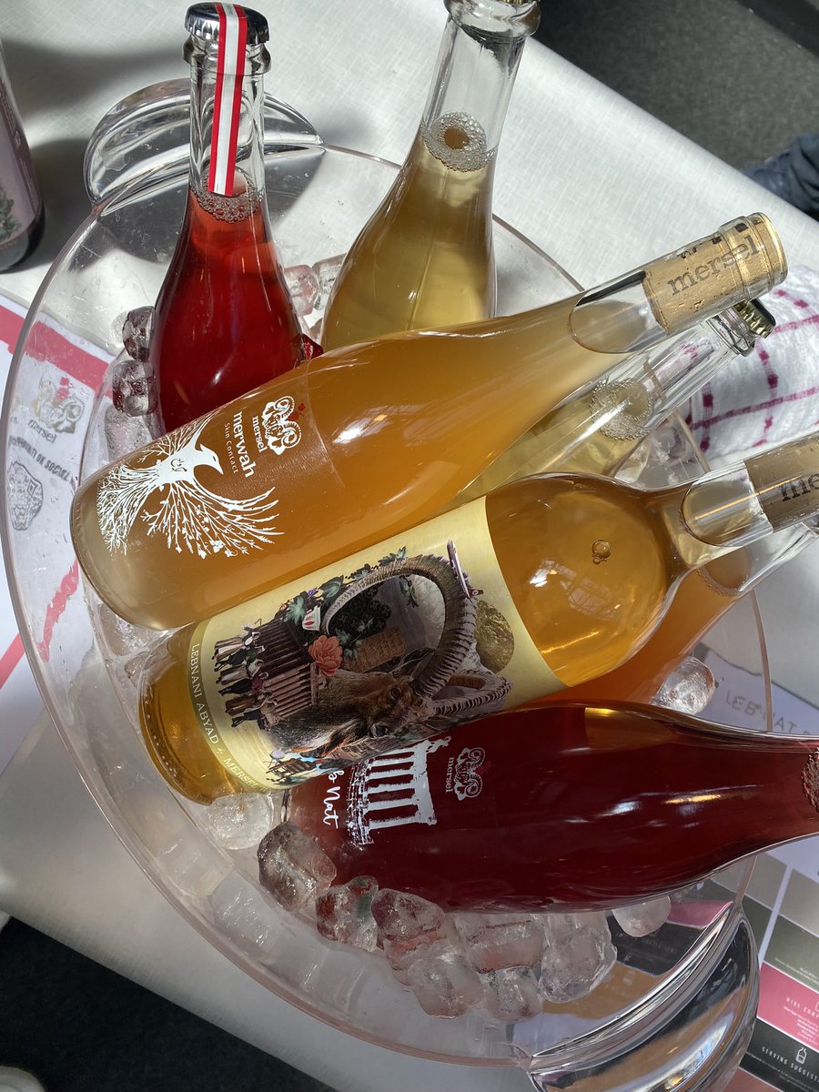 merselwine tweet media