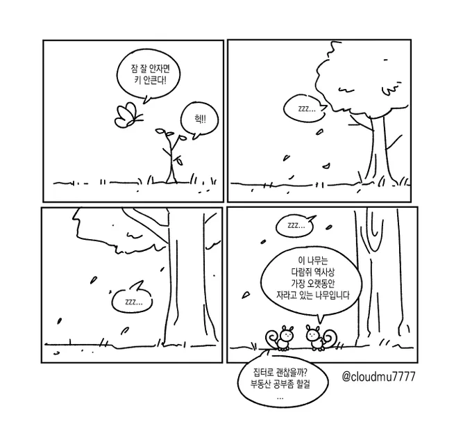 나무 