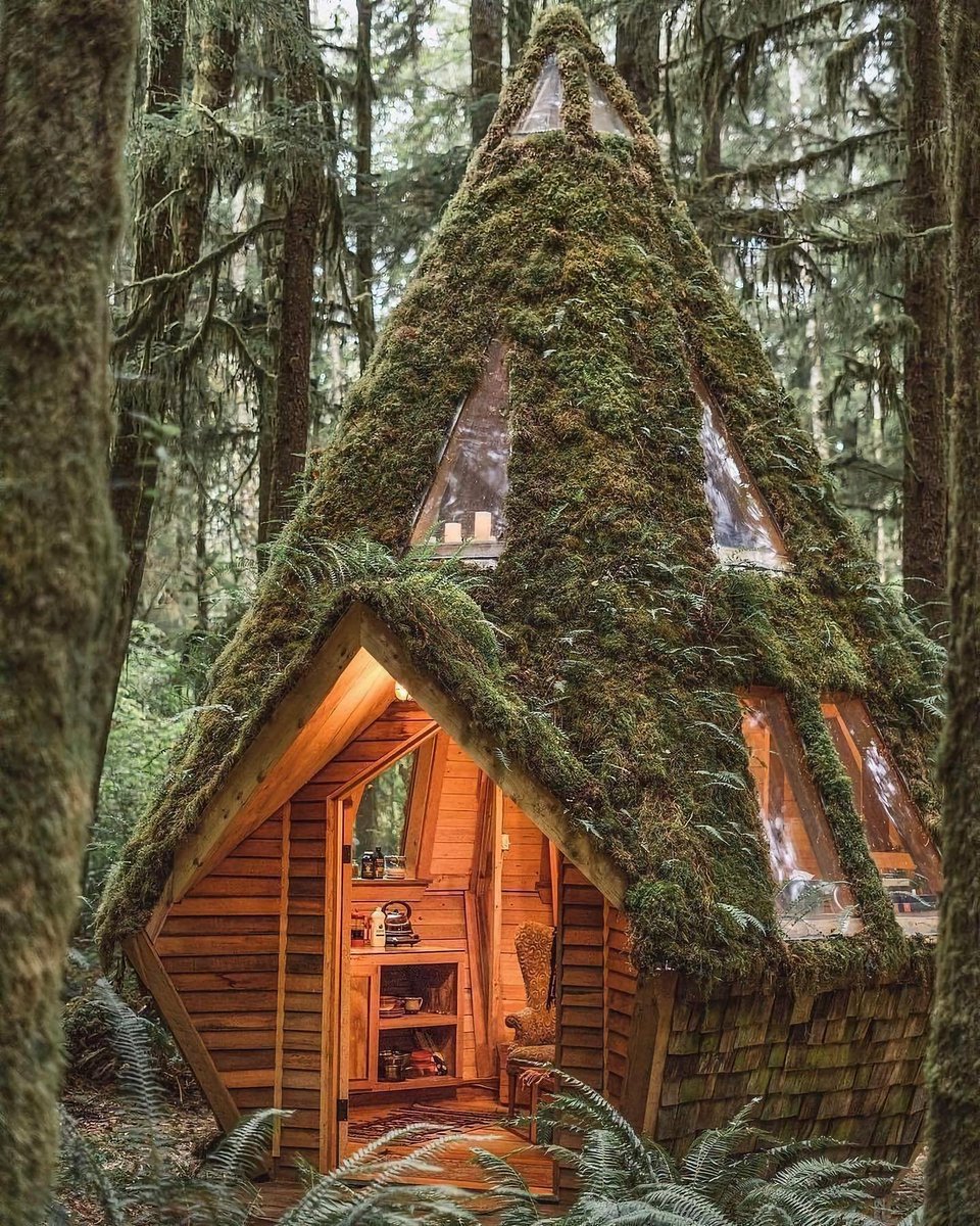 MARFED_'s tweet photo. I think it's amazing  #naturelovers https://t.co/GpK4LSRTlP