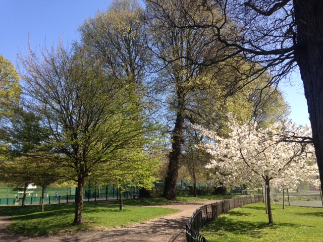 B&HGreenspacesforum (@bhgsforum) on Twitter photo Awarded EIGHT <a href="/GreenFlagAward/">GreenFlagAward</a> this year. Congrats to <a href="/BrightonHoveCC/">Brighton & Hove City Council</a> Cityparks team and all #volunteers at these top-grade #greenspaces. #HovePark #PrestonPark #StAnnsWellGardens #StonehamPark #KiplingGardens #EasthillPark #TheLevel and the new addition of #StanmerPark Awarded EIGHT <a href="/GreenFlagAward/">GreenFlagAward</a> this year. Congrats to <a href="/BrightonHoveCC/">Brighton & Hove City Council</a> Cityparks team and all #volunteers at these top-grade #greenspaces. #HovePark #PrestonPark #StAnnsWellGardens #StonehamPark #KiplingGardens #EasthillPark #TheLevel and the new addition of #StanmerPark