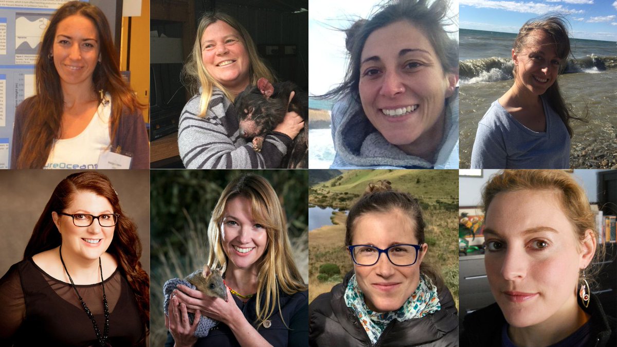 Masks🧤🥤 and plastic bottles. 
Protecting ourselves from #COVID19 infection has exacerbated single-use plastic pollution, led to a global plastic crisis &amp; a major threat facing humans &amp; wildlife, 8 #TeamHB4 and #TeamHB5 researchers have found. 🧵

homewardboundprojects.com.au/2022/07/29/urg…