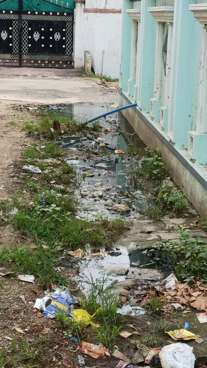 AarizMohiuddin's tweet photo. At opposite of Ameen Kirana, Shadnagar, Adilabad.Drains are constantly overflowing, which causes a rise of mosquitoes. PPL is going through a lot of hardship. I request please solve this issue ASAP.
@MC_Adilabad 
@AclbAdilabad 
@Collector_ADB 
@cdmatelangana 
@KTRTRS https://t.co/JHc1BtkqMJ