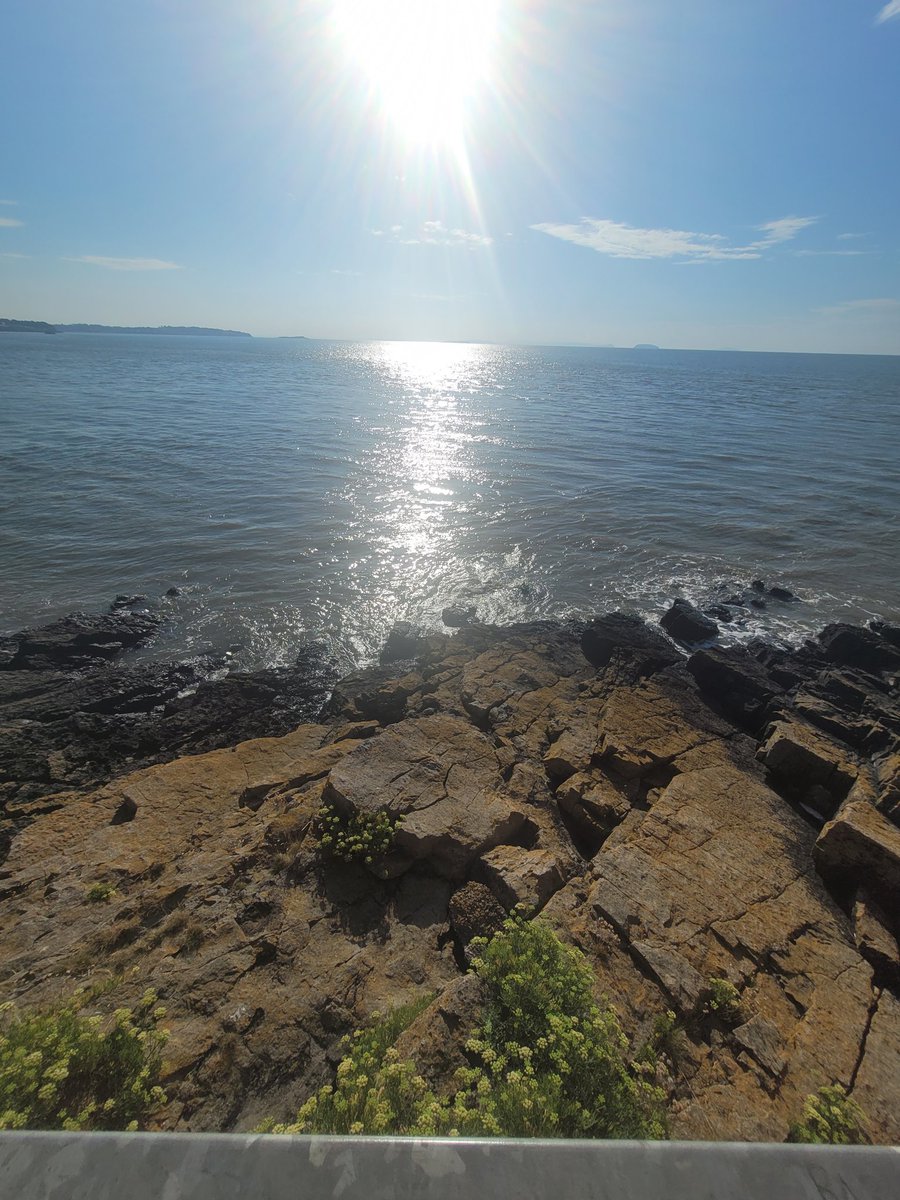 andygreencre8iv's tweet photo. The sun is bearing a path to my door on my early morning walk around Barry Island.
What positive things are coming your way today?
#Barryspiration #Walkspiration https://t.co/99B30W2GXE