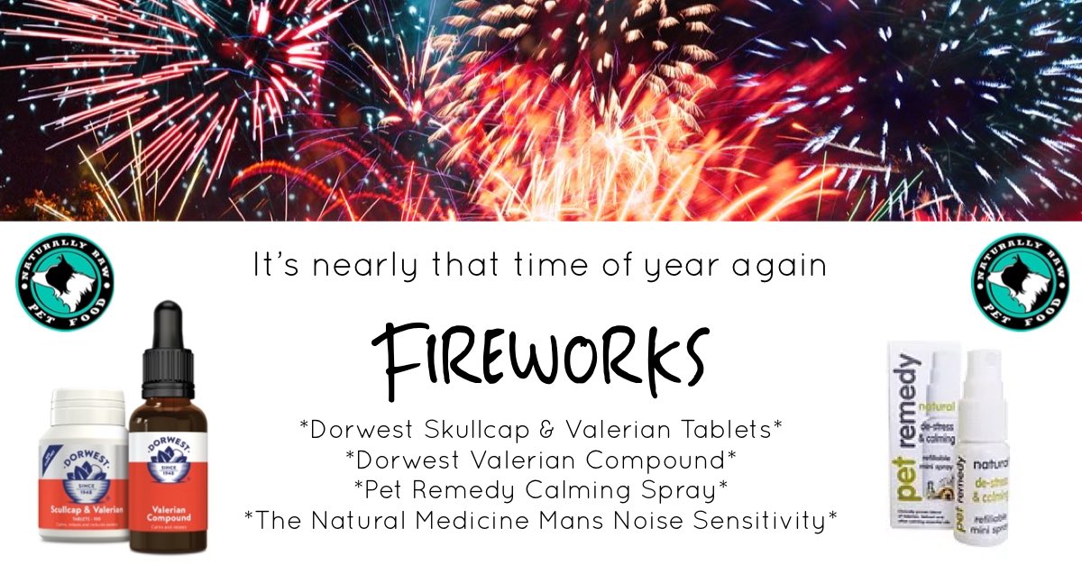 PetNaturally's tweet image. #Gorleston Residents:
Fireworks are scheduled as part of the #ClifftopFestival 
THIS SUNDAY 31st July, at 10pm
For those of you with pets that are noise sensitive we have a range of products that can help..

#dogfireworksafety #petremedyspray #dorwestdog