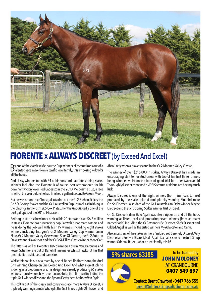 Elite Racing Solutions tweet media