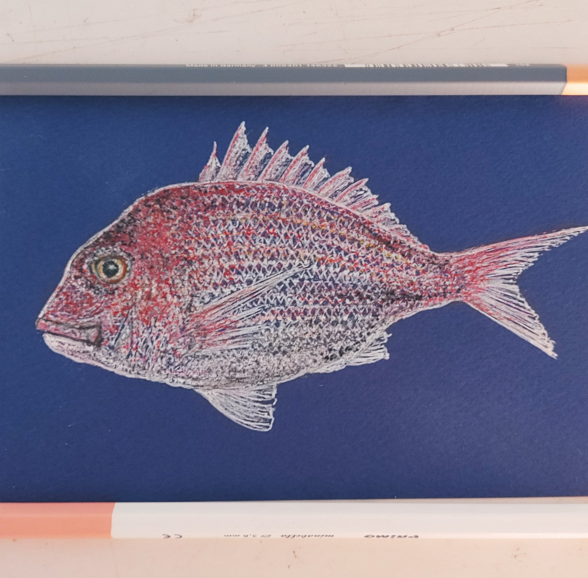 宇野たまみ 魚拓シリーズ いつもhappyめでたい真鯛くんを描きました さかな 真鯛 めでたい イラスト T Co Lhxnkneoit Twitter 宇野たまみ 魚拓シリーズ いつもhappyめでたい真鯛くんを描きました さかな 真鯛 めでたい イラスト T Co Lhxnkneoit Twitter