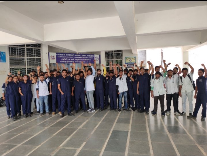 Why black ribbons?
We wear black ribbons as a sign of protest and as a sign of our demands to which the concerned authorities have turned a deaf ear.
#Stand for vets

<a href="/KanuDesai180/">Kanu Desai</a> 
<a href="/CMOGuj/">CMO Gujarat</a> 
<a href="/Bhupendrapbjp/">Bhupendra Patel</a> <a href="/CRPaatil/">C R Paatil</a> 
<a href="/PMOIndia/">PMO India</a> <a href="/RaghavjiPatel/">Raghavji Patel</a> <a href="/Divya_Bhaskar/">Divya Bhaskar</a> 
<a href="/sandeshnews/">Sandesh</a> 
<a href="/PRupala/">Parshottam Rupala</a>