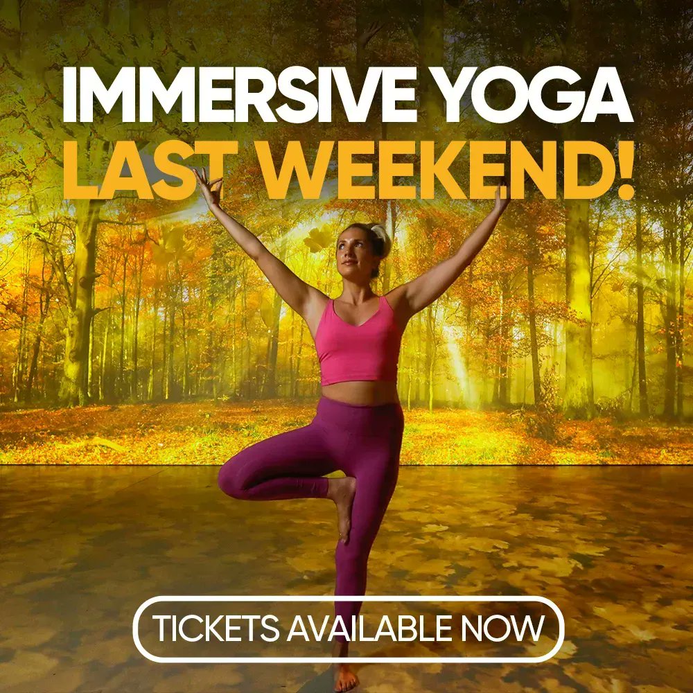 Van Gogh Dublin: An Immersive Journey - RDS Dublin tweet media