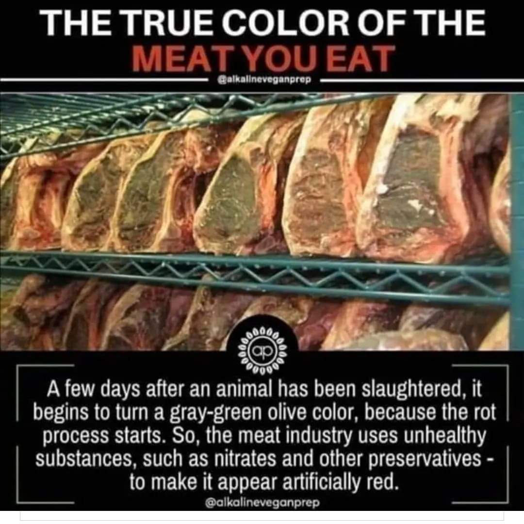 "Most of the meat that people eat has been dead for months, often years. The meat is disguised with bleach and dyes to hide the decay and the fact the the flesh is putrid. We are closer in our eating habits to vultures and jackals than wolves and lions." Captain Paul Watson