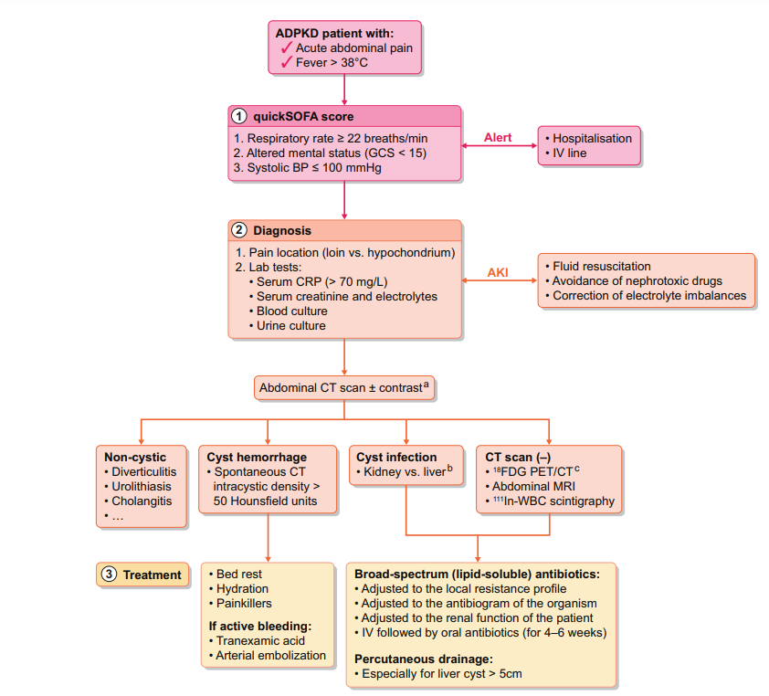 Algorithm for the management of acute flank pain.