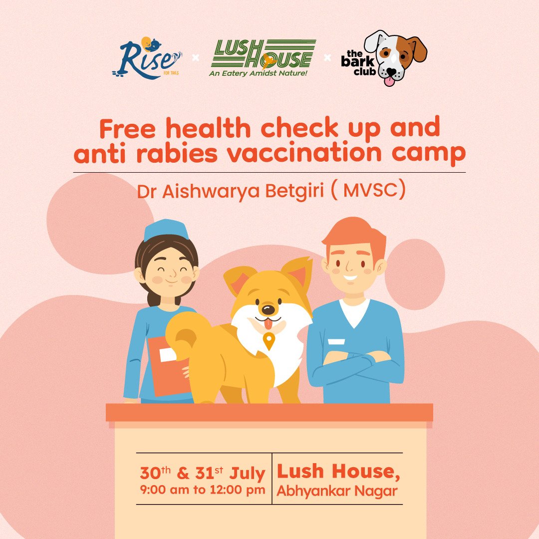 RiseTails's tweet photo. @RiseTails &amp; @THEBARKCLUB10 organize a 'Free Health Check-up and Anti-rabies Vaccination Camp' on Saturday and Sunday. Inviting you to come along with your fur babies around 9.00am - 12:00pm
*Registeration is Open* #freehealthcheckup #antirabiesvaccination #vaccination #Nagpur https://t.co/ltRAyazpeN