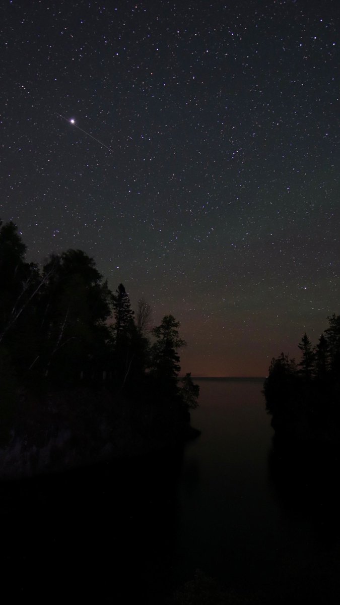 The Wild North tweet media