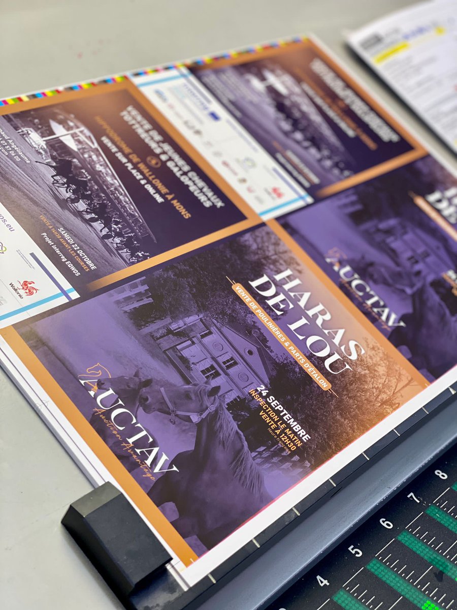 [Impression en cours] 💌
VENTE DU HARAS DU LOU avec 50 poulinières pleines et parts d'étalons proposées dans le cadre de la cessation d'activité de ce haras de légende
📍 Vente le 24 septembre
🔜 Catalogue prochainement en ligne, version papier sur demande : contact@auctav.com