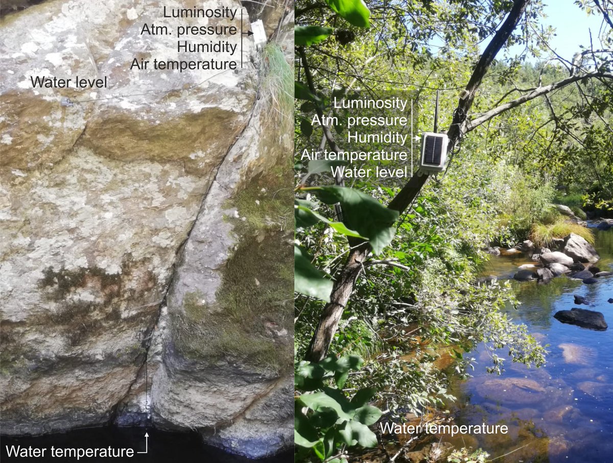 Smart Fishways tweet media