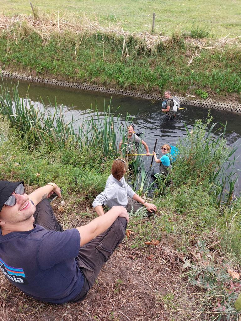 Vdriecha's tweet photo. Testing whether #eDNA-based water quality scoring is affected by the sampling period. Hard work, big fun. From human chains to transfer #fish, to getting saved after falling in the #river. Respect to my colleagues who perform this work regularly! @TEREC_ugent @INBOVlaanderen https://t.co/gMt9dx8QIg